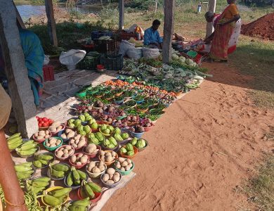 A row of assorted vegetables arranged on a table.