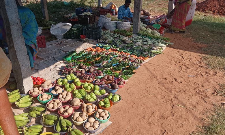 A row of assorted vegetables arranged on a table.